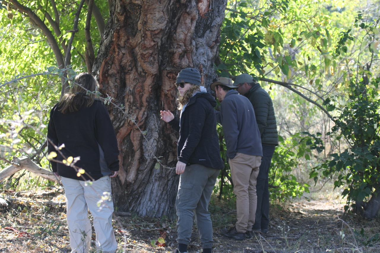 [21119] 2016_06_29_03_42_29_Africa_Canon_EOS_40D_IMG__03365.jpg