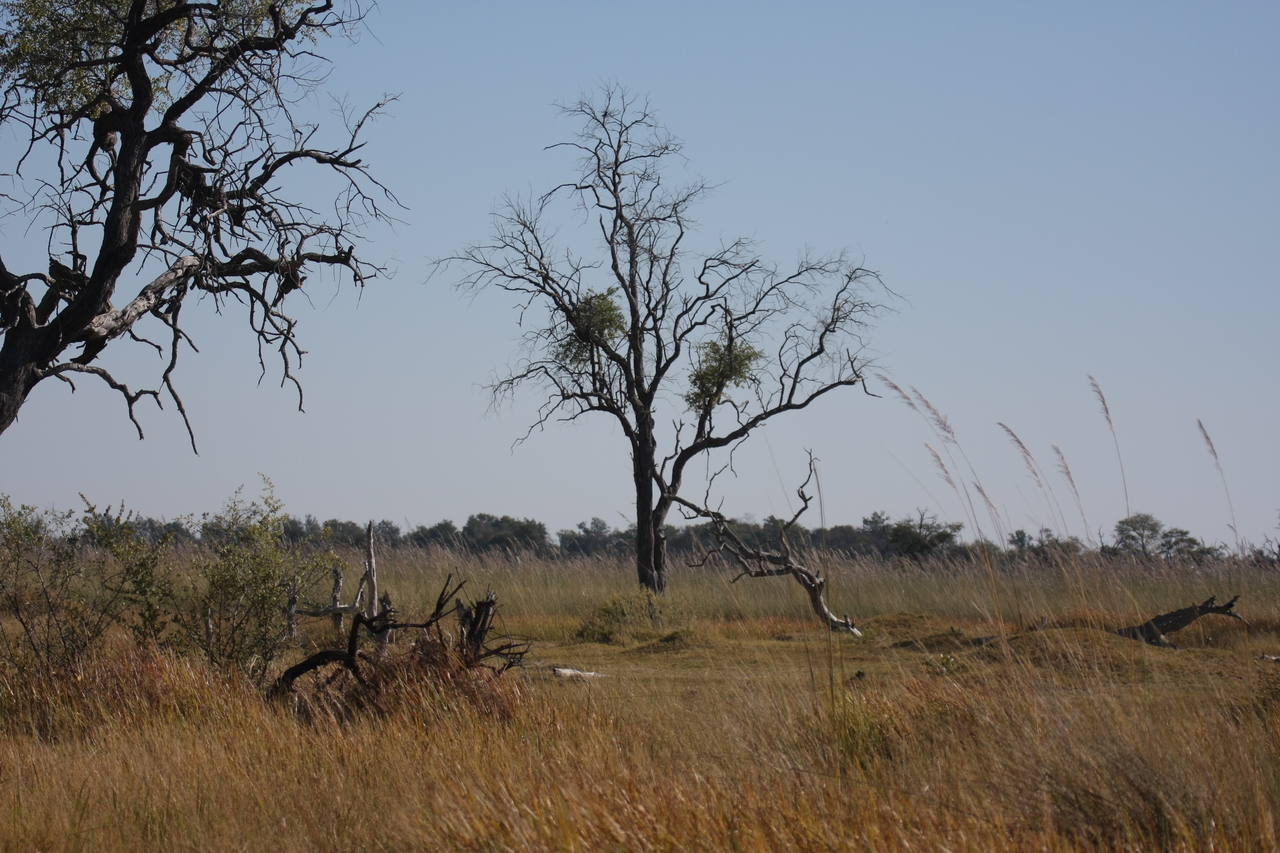 [21180] 2016_06_29_03_54_23_Africa_Canon_EOS_40D_IMG__03387.jpg
