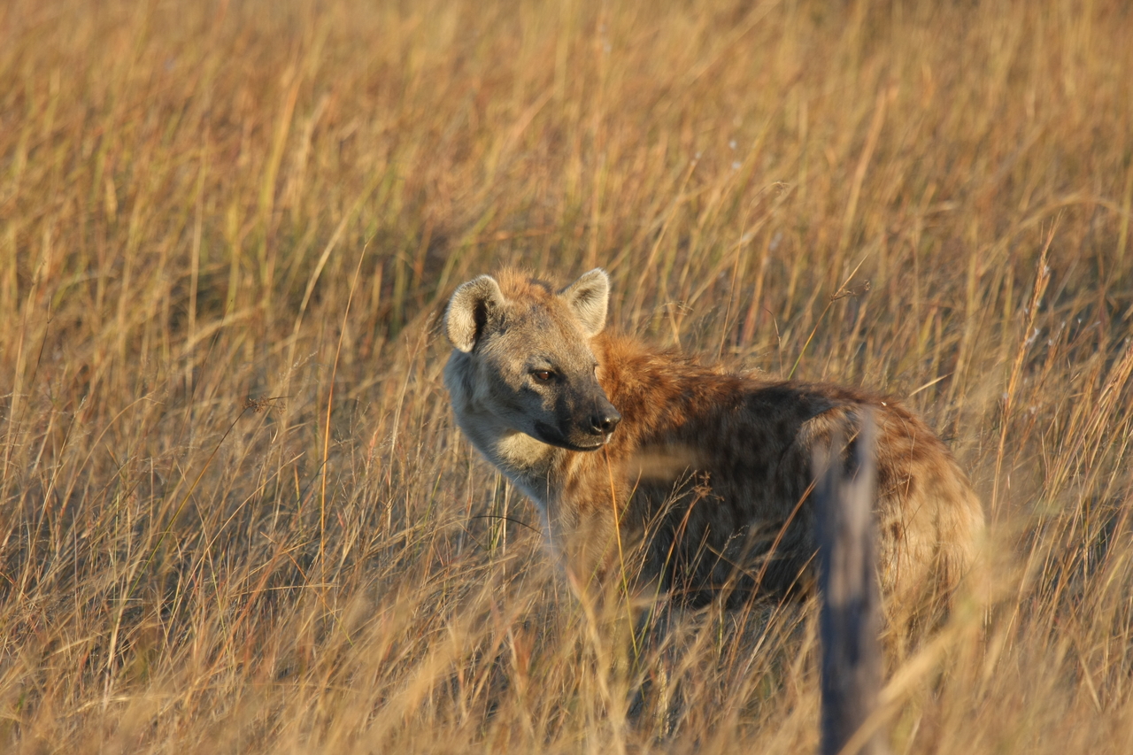 [21565] 2016_06_29_11_34_07_Africa_Canon_EOS_40D_IMG__10900.jpg