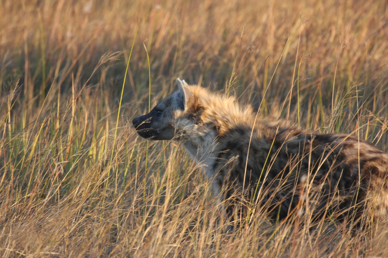 [21672] 2016_06_29_11_35_09_Africa_Canon_EOS_40D_IMG__03494.jpg