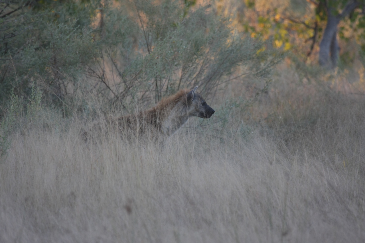 [21709] 2016_06_29_11_42_49_Africa_Canon_EOS_40D_IMG__00267.jpg