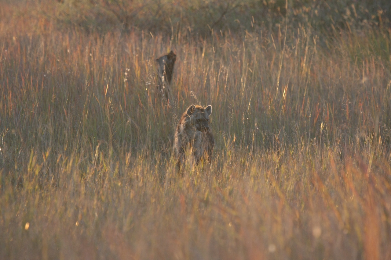 [21745] 2016_06_29_11_45_10_Africa_Canon_EOS_40D_IMG__03521.jpg