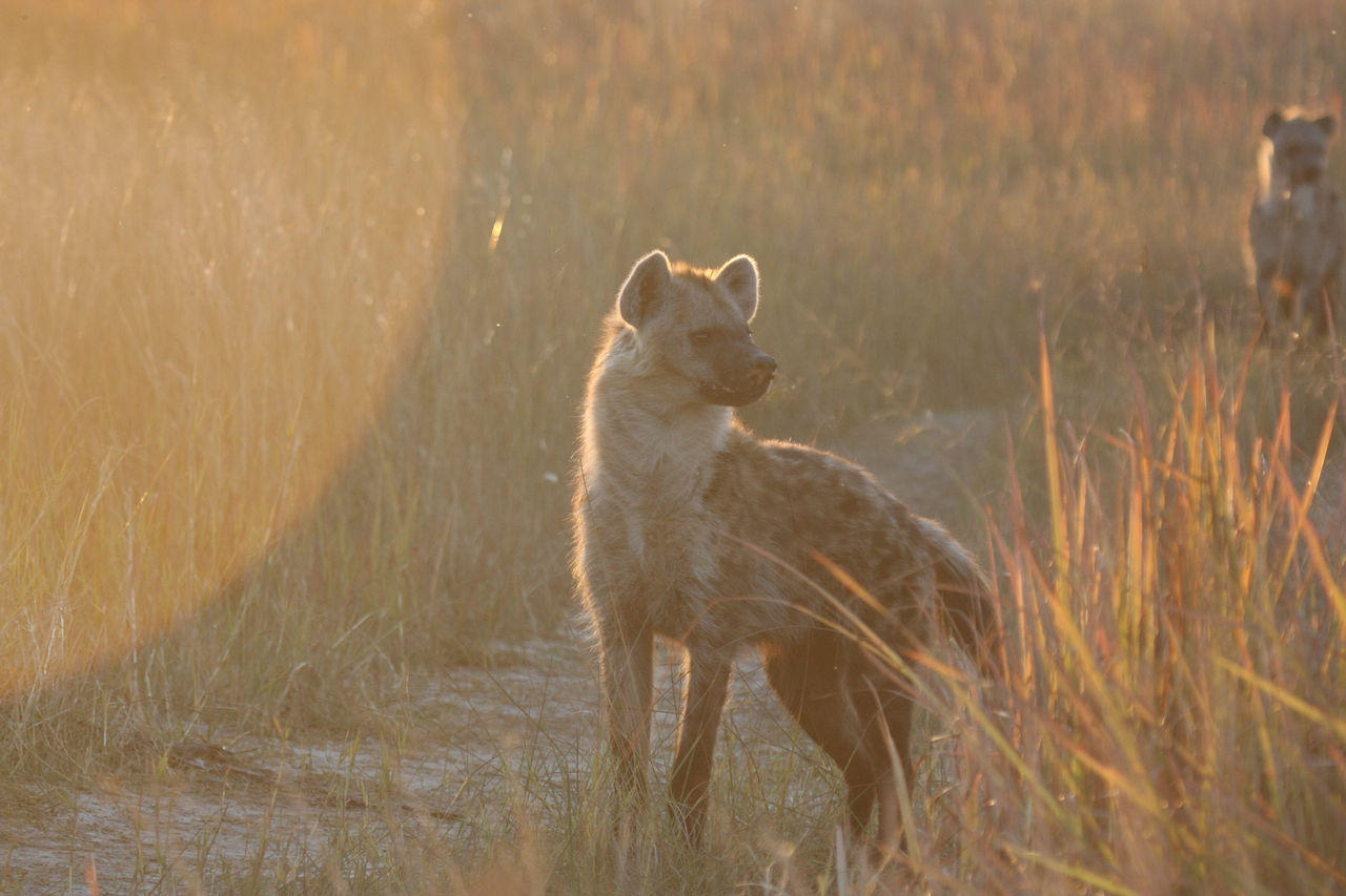 [21765] 2016_06_29_11_45_35_Africa_Canon_EOS_40D_IMG__00287.jpg
