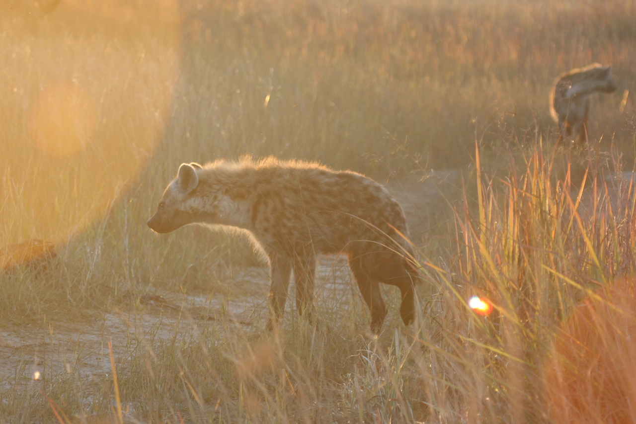 [21771] 2016_06_29_11_45_39_Africa_Canon_EOS_40D_IMG__00289.jpg