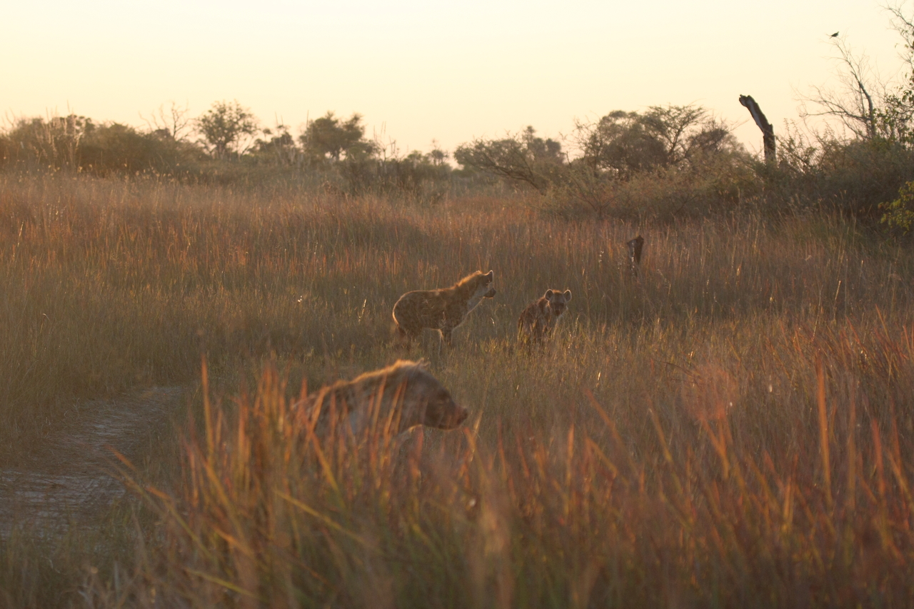 [21802] 2016_06_29_11_46_13_Africa_Canon_EOS_40D_IMG__10988.jpg