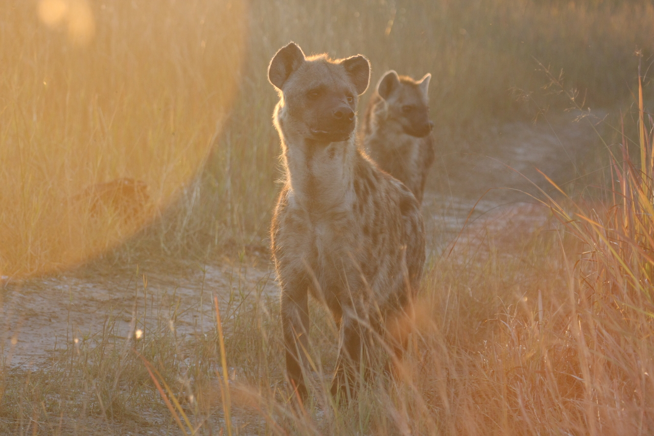 [21805] 2016_06_29_11_46_37_Africa_Canon_EOS_40D_IMG__00303.jpg