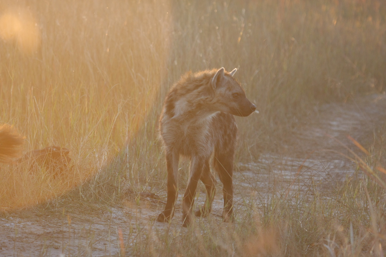 [21829] 2016_06_29_11_46_55_Africa_Canon_EOS_40D_IMG__00311.jpg