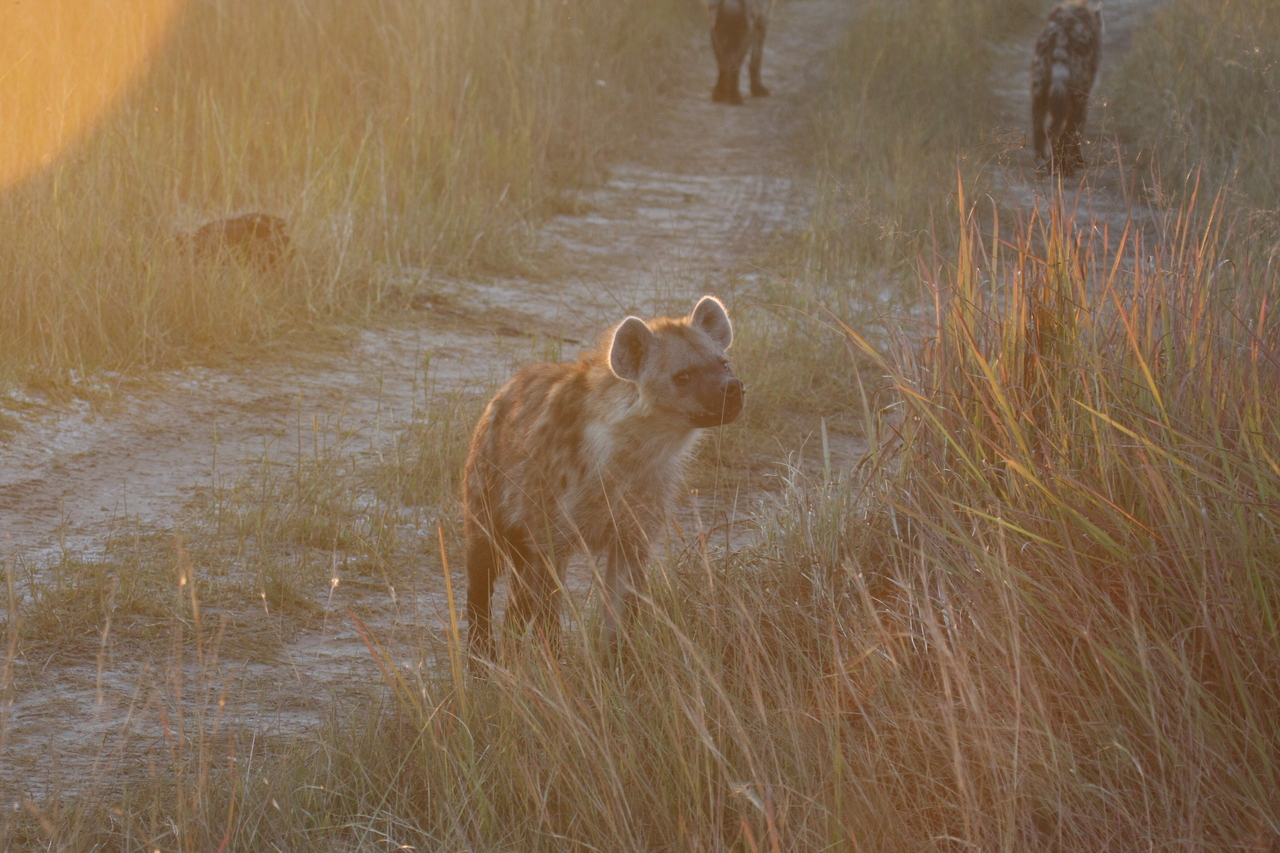 [21853] 2016_06_29_11_47_44_Africa_Canon_EOS_40D_IMG__11007.jpg