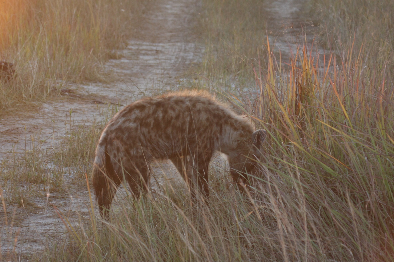 [21867] 2016_06_29_11_49_13_Africa_Canon_EOS_40D_IMG__00325.jpg