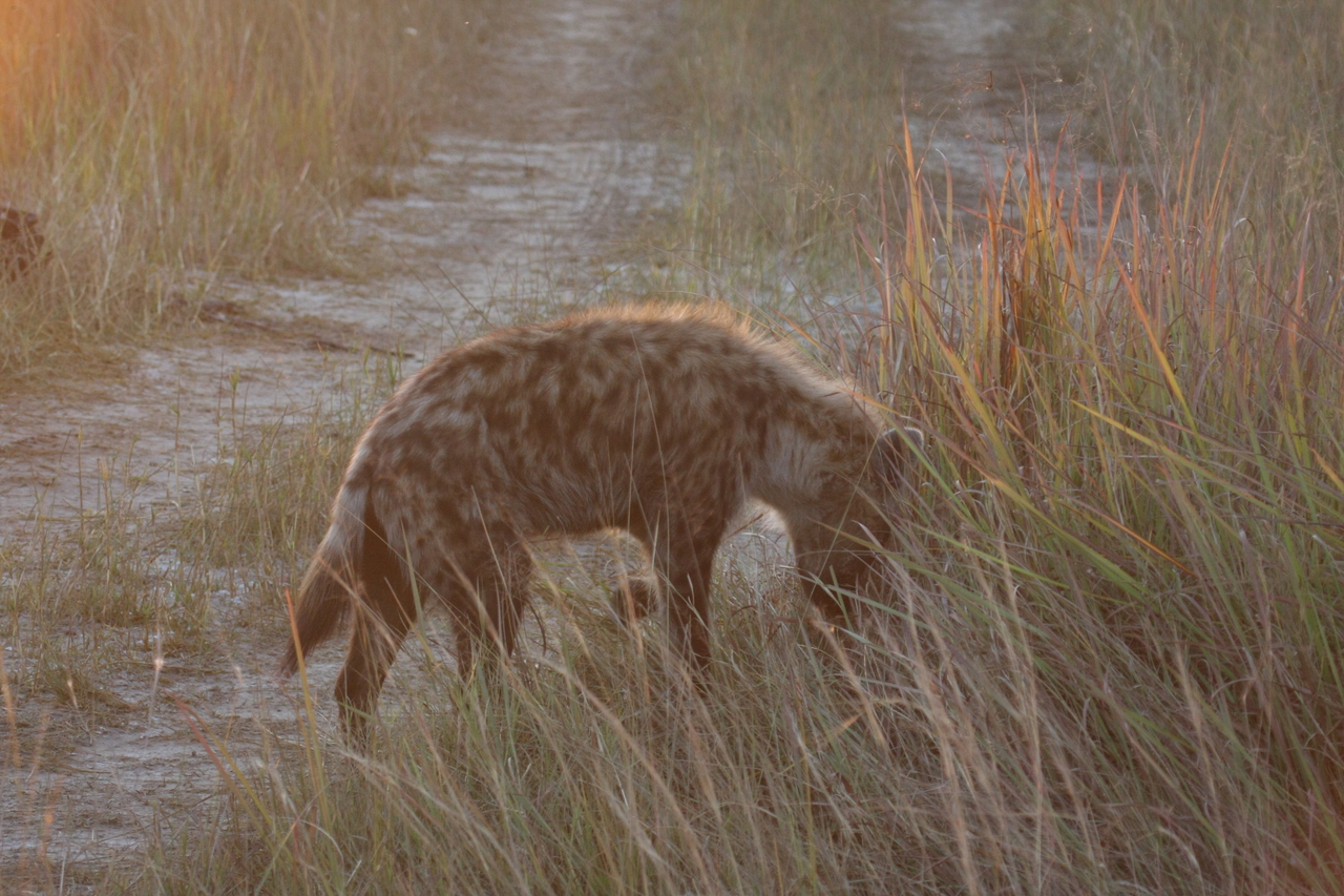 [21871] 2016_06_29_11_49_13_Africa_Canon_EOS_40D_IMG__03568.jpg