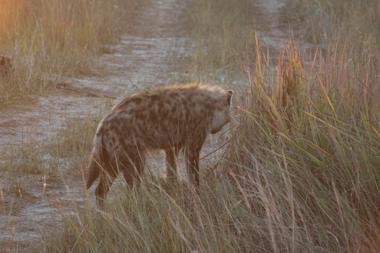 [21877] 2016_06_29_11_49_14_Africa_Canon_EOS_40D_IMG__03570.jpg