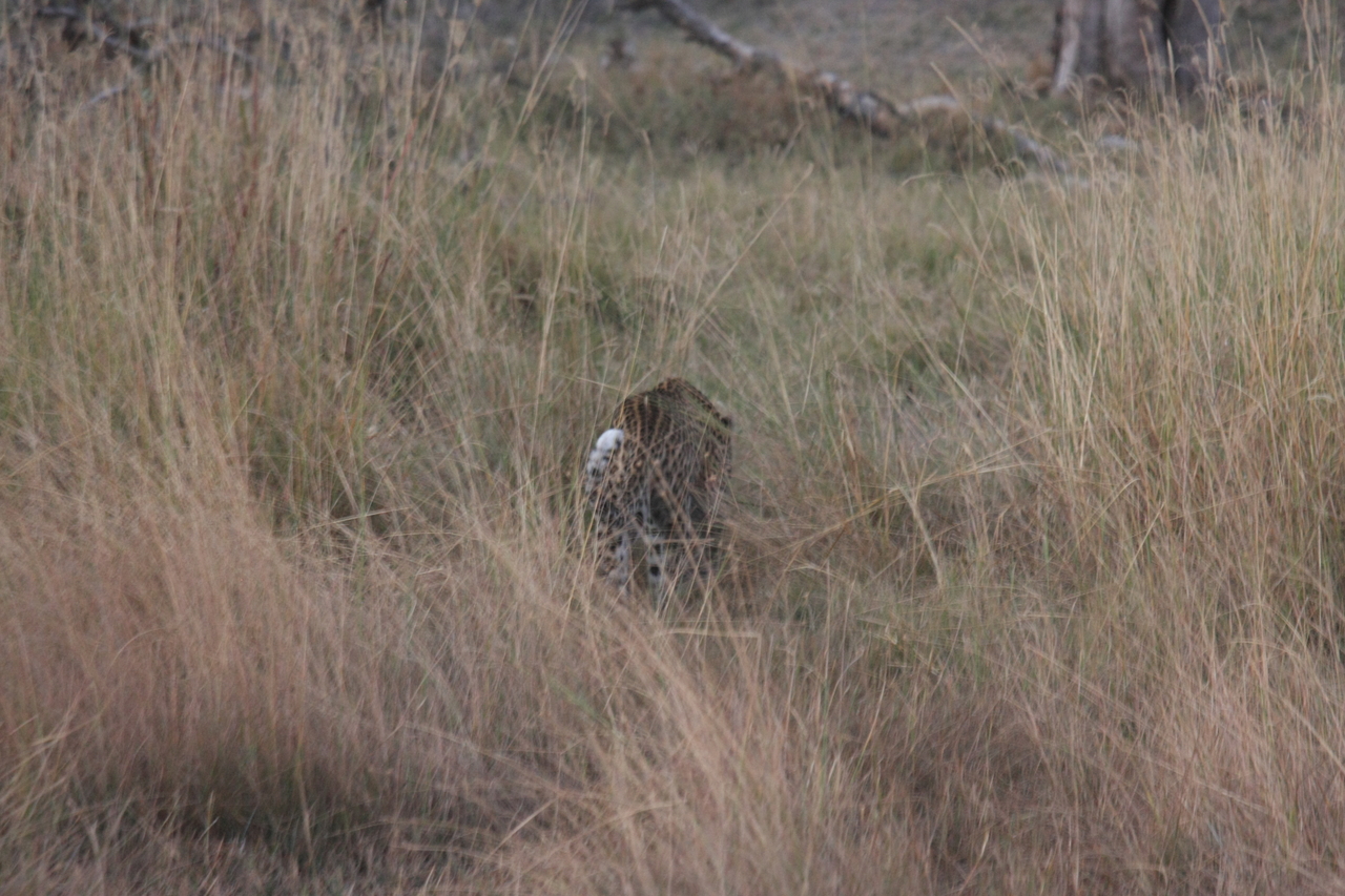 [21959] 2016_06_29_12_08_48_Africa_Canon_EOS_40D_IMG__03601.jpg