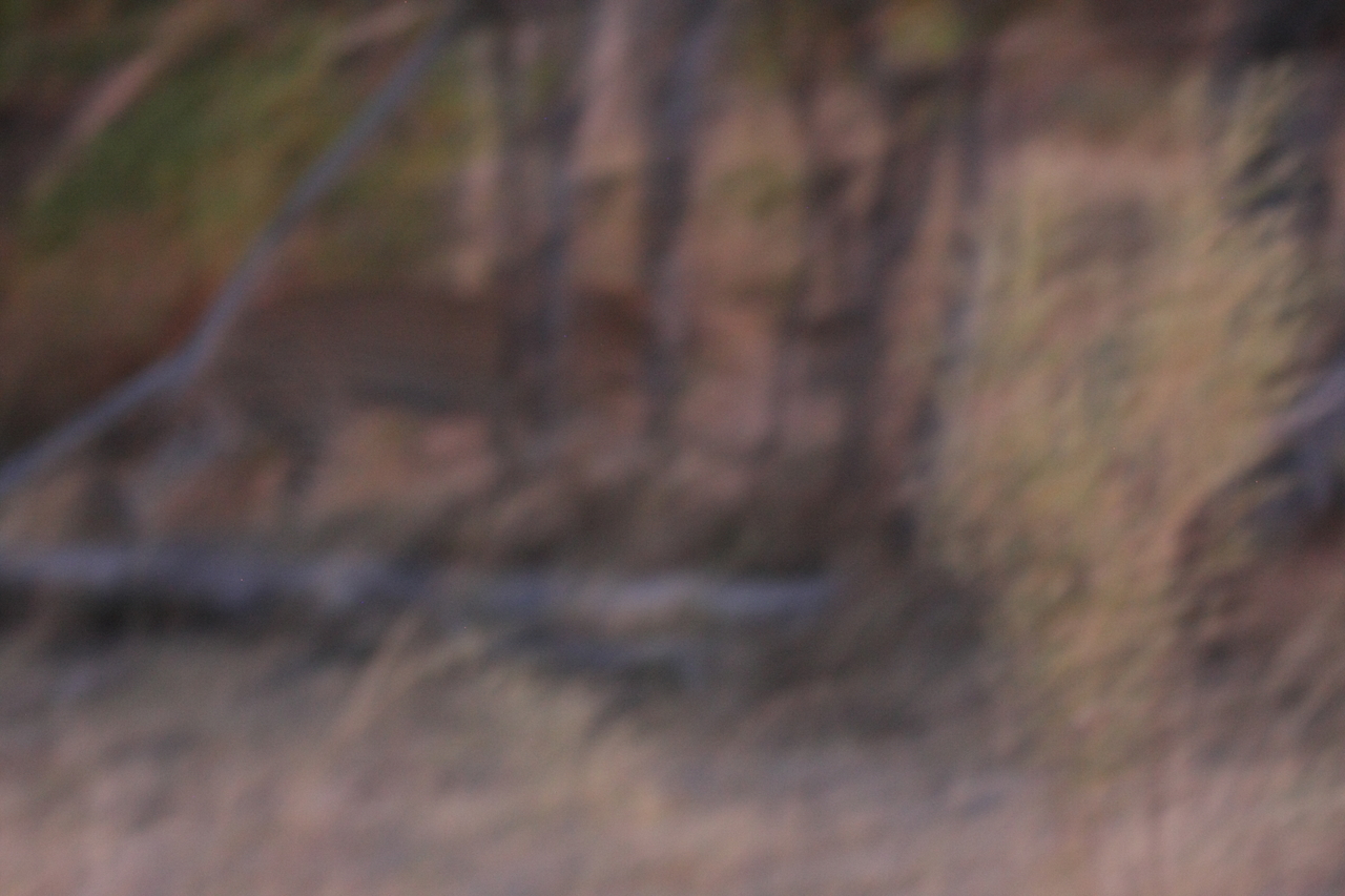 [22150] 2016_06_29_12_20_41_Africa_Canon_EOS_40D_IMG__11117.jpg