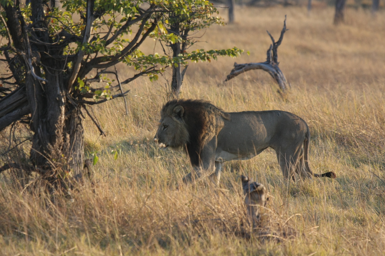[22591] 2016_06_30_01_36_25_Africa_Canon_EOS_40D_IMG__00413.jpg