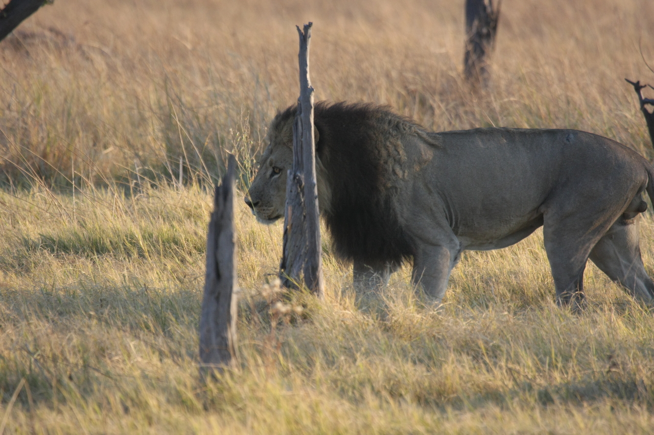 [22599] 2016_06_30_01_36_32_Africa_Canon_EOS_40D_IMG__11608.jpg