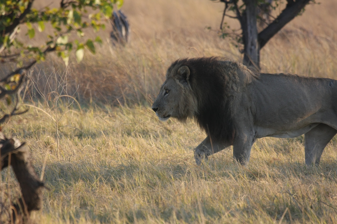 [22603] 2016_06_30_01_36_34_Africa_Canon_EOS_40D_IMG__00458.jpg