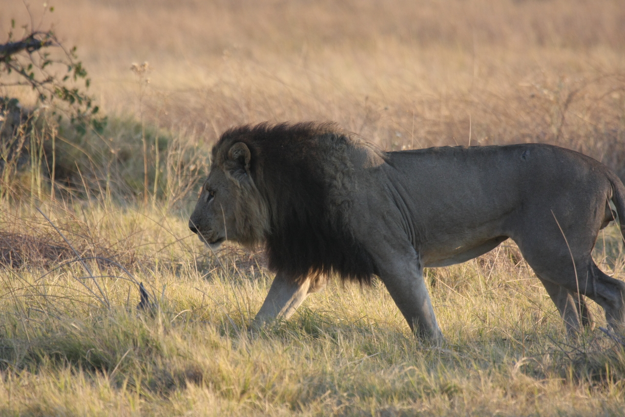 [22611] 2016_06_30_01_36_42_Africa_Canon_EOS_40D_IMG__11653.jpg