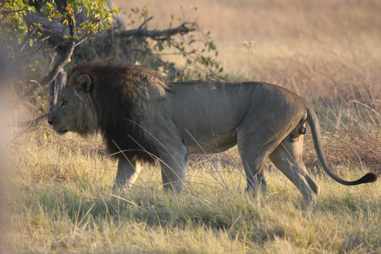 [22612] 2016_06_30_01_36_43_Africa_Canon_EOS_40D_IMG__00491.jpg