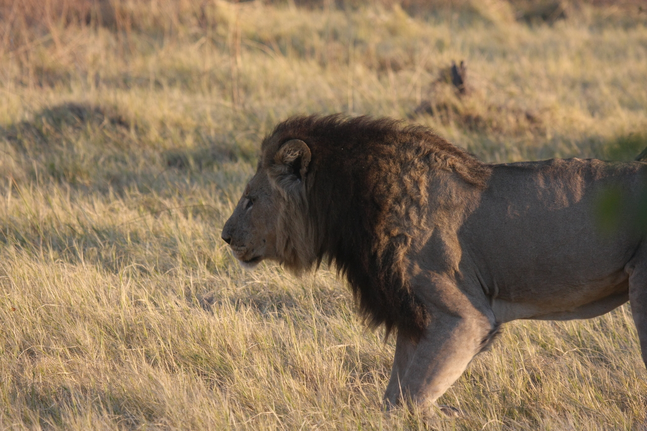 [22615] 2016_06_30_01_37_22_Africa_Canon_EOS_40D_IMG__00502.jpg