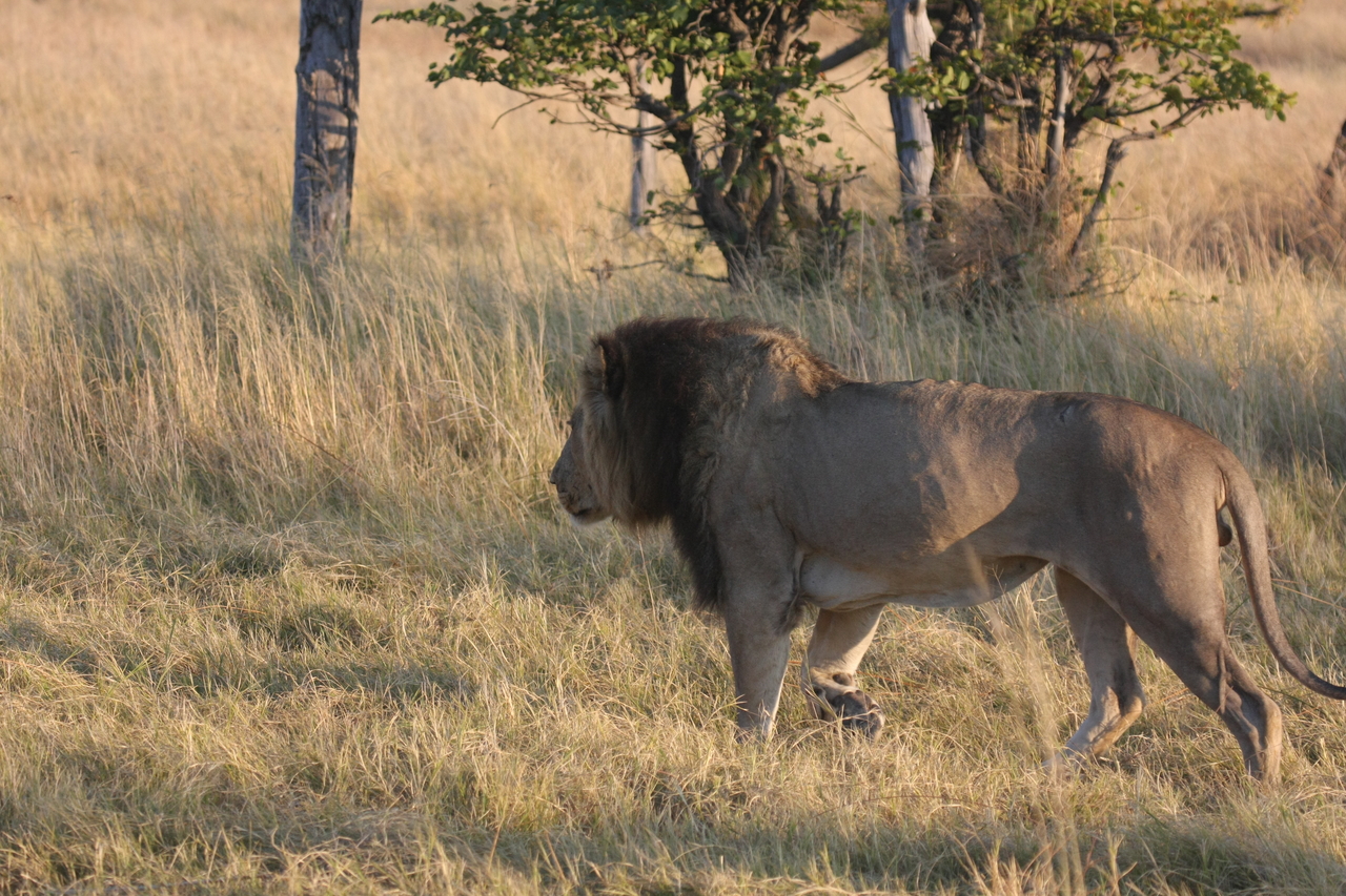 [22628] 2016_06_30_01_38_34_Africa_Canon_EOS_40D_IMG__04272.jpg