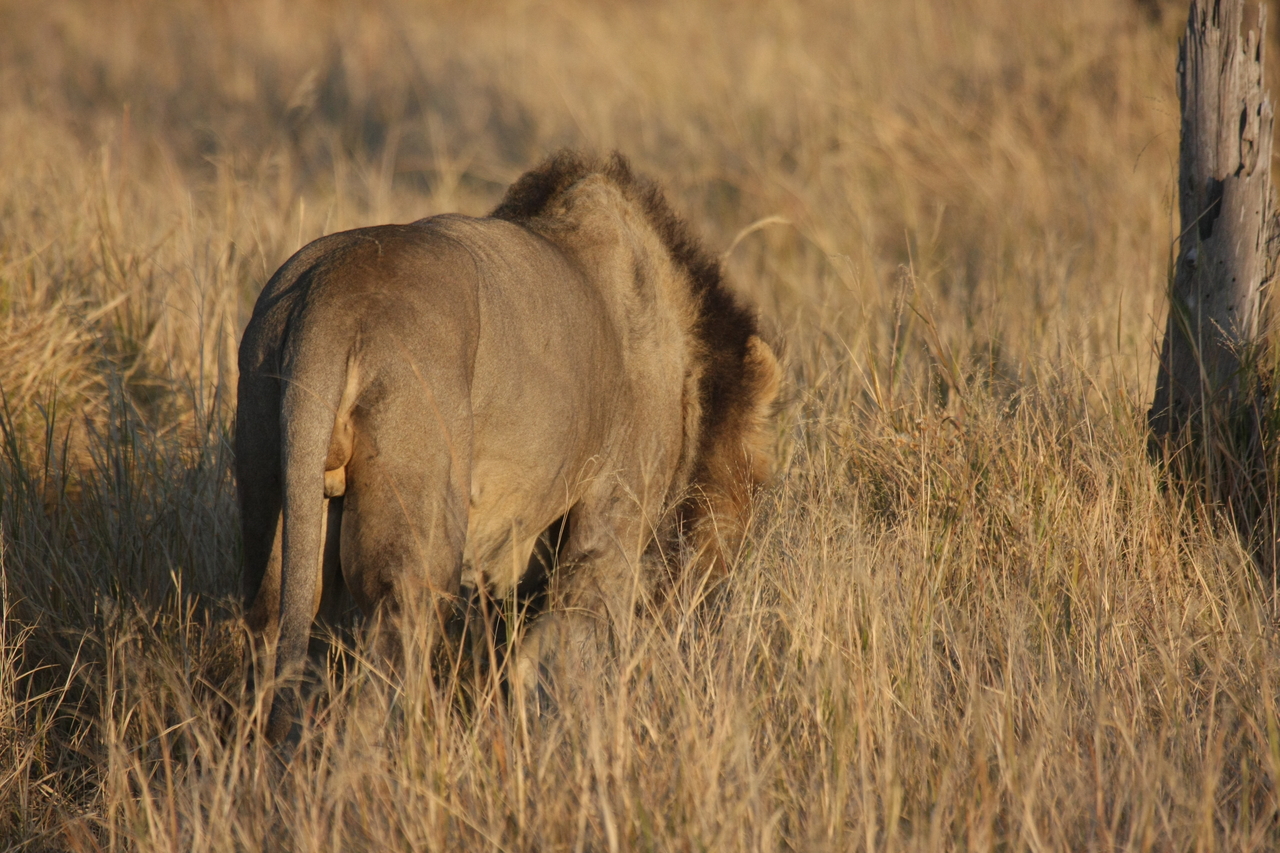 [22640] 2016_06_30_01_40_00_Africa_Canon_EOS_40D_IMG__00580.jpg