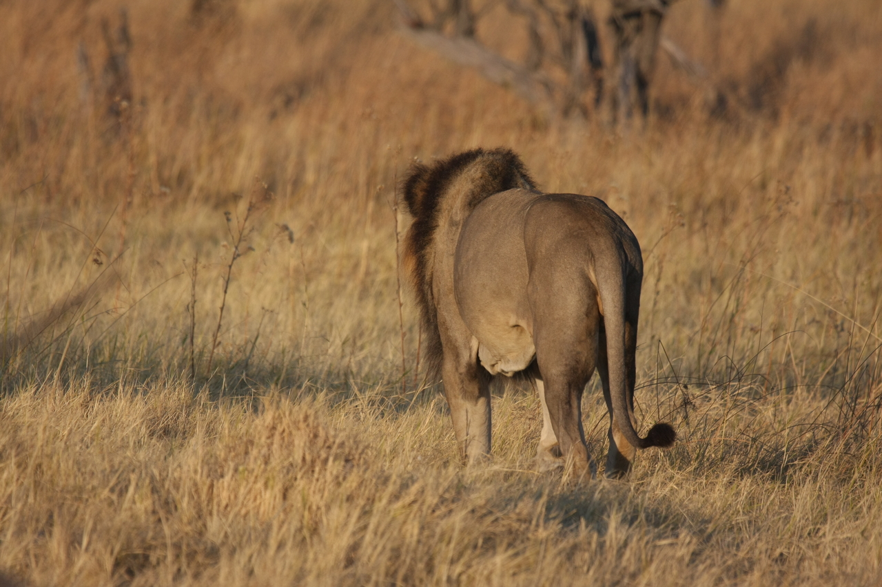 [22668] 2016_06_30_01_42_11_Africa_Canon_EOS_40D_IMG__11842.jpg