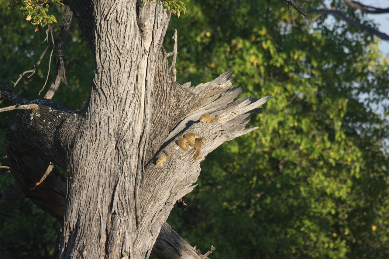 [22745] 2016_06_30_01_55_25_Africa_Canon_EOS_40D_IMG__11982.jpg