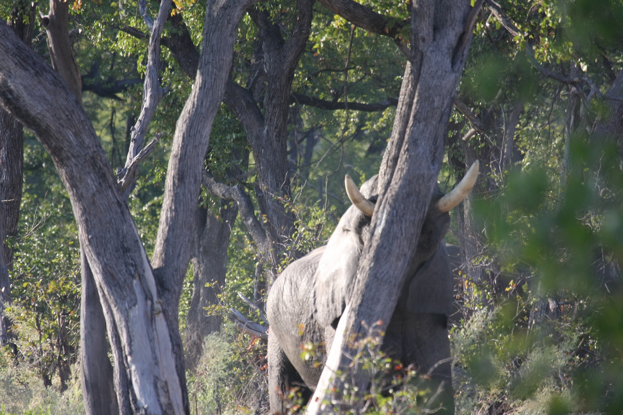 [22840] 2016_06_30_02_08_06_Africa_Canon_EOS_40D_IMG__11188.jpg