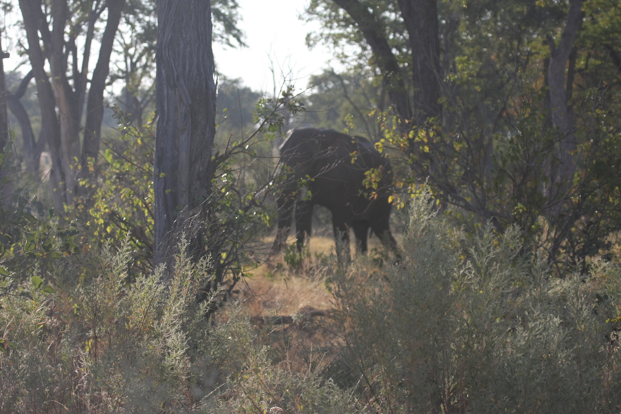 [22952] 2016_06_30_02_13_45_Africa_Canon_EOS_40D_IMG__03783.jpg