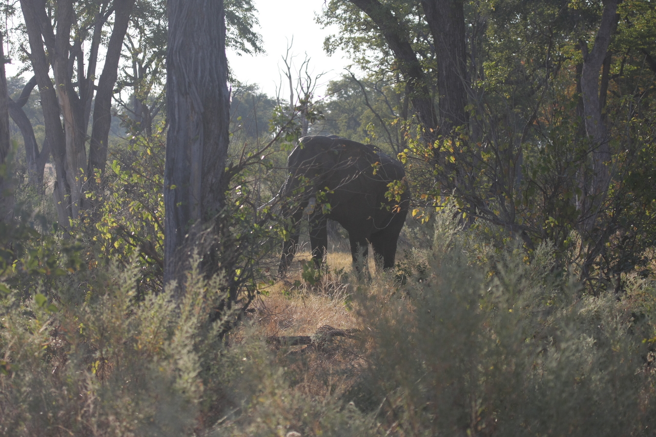 [22956] 2016_06_30_02_13_45_Africa_Canon_EOS_40D_IMG__11232.jpg