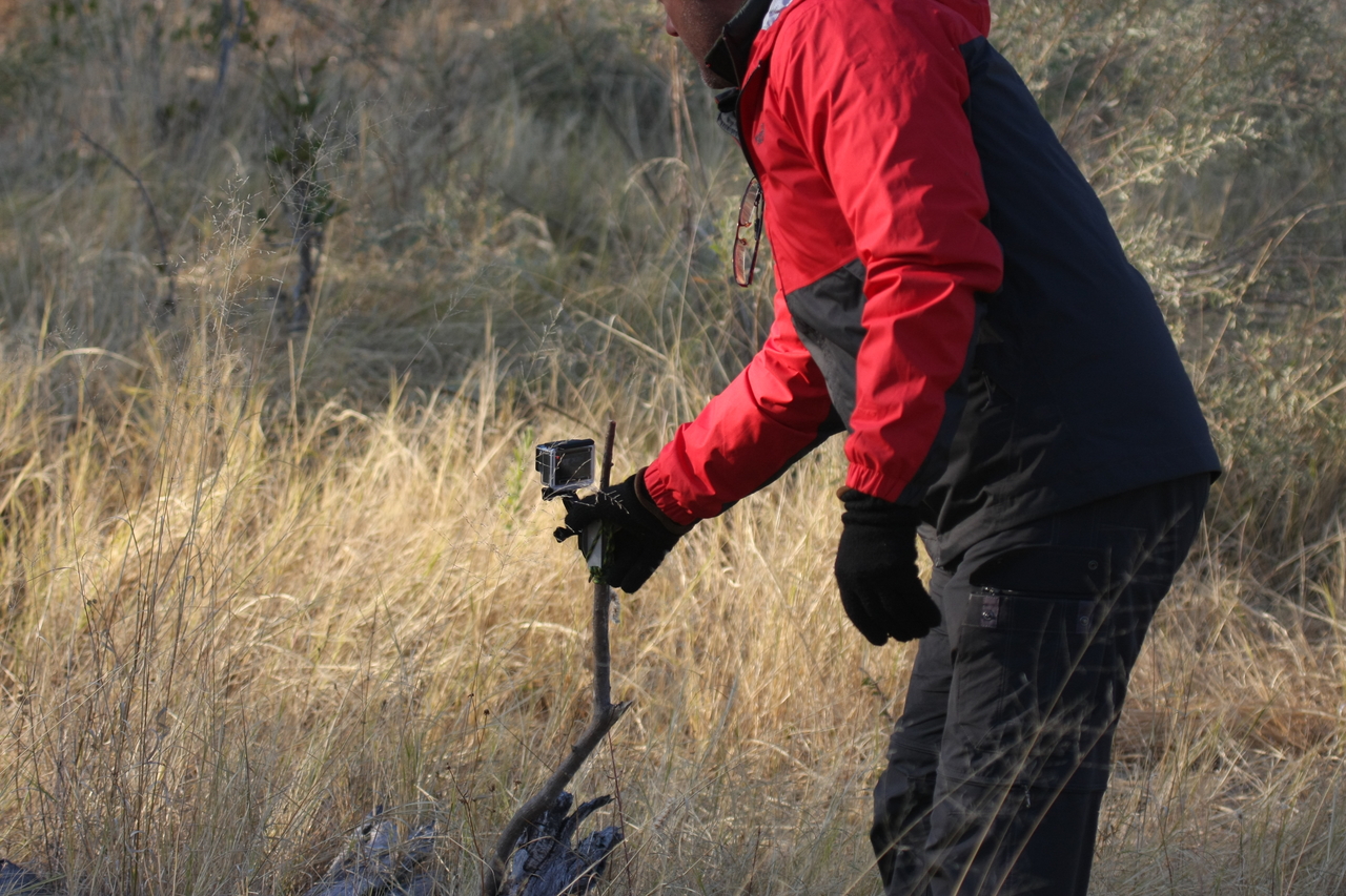 [22969] 2016_06_30_02_14_30_Africa_Canon_EOS_40D_IMG__03790.jpg