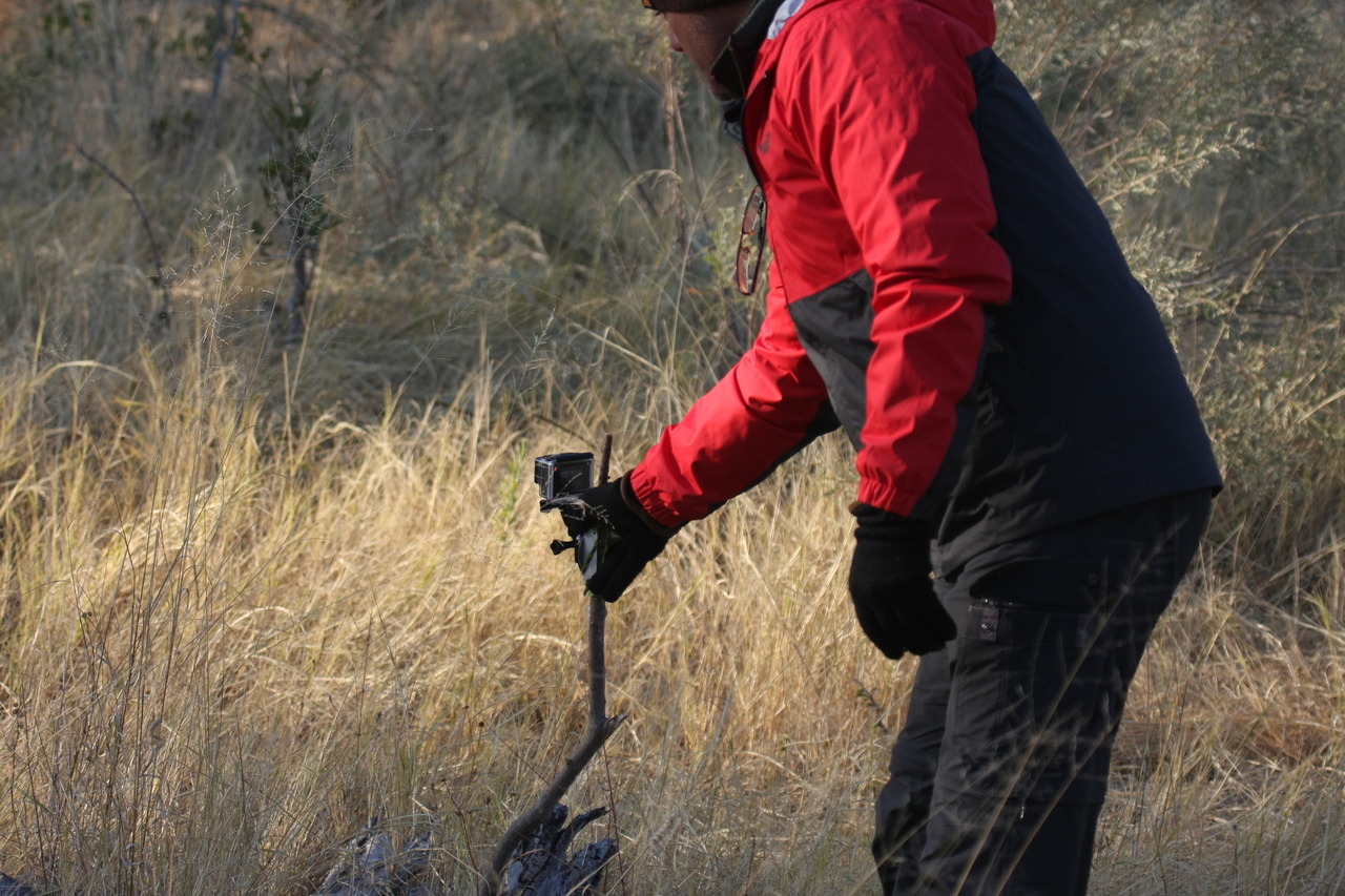 [22970] 2016_06_30_02_14_30_Africa_Canon_EOS_40D_IMG__11236.jpg