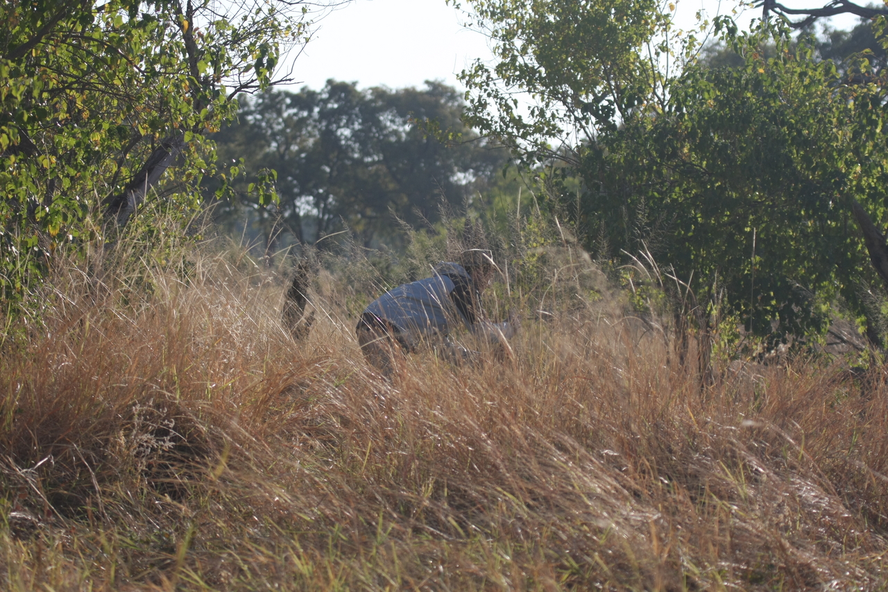 [23074] 2016_06_30_02_27_19_Africa_Canon_EOS_40D_IMG__03813.jpg