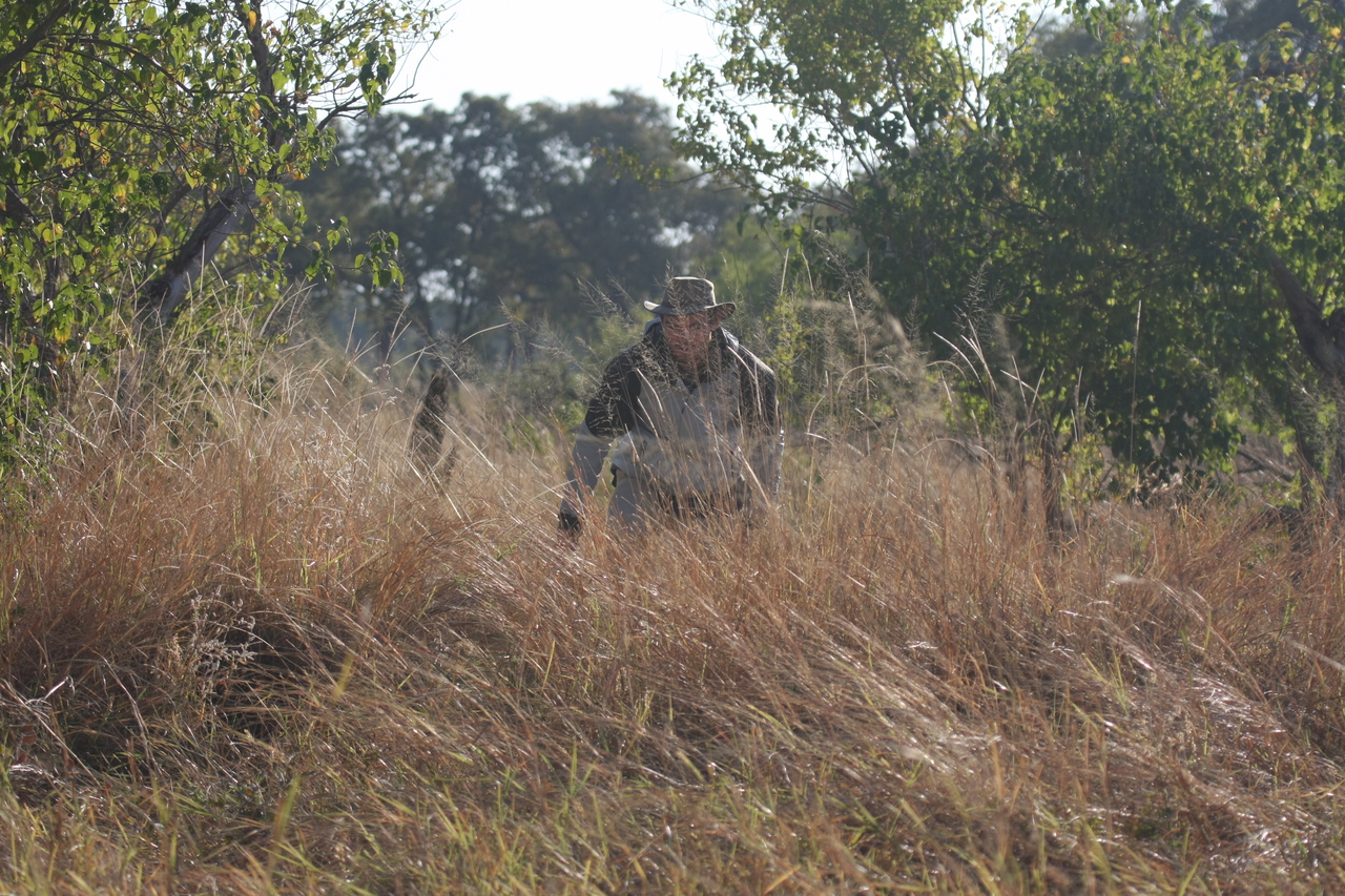 [23086] 2016_06_30_02_27_51_Africa_Canon_EOS_40D_IMG__00094.jpg