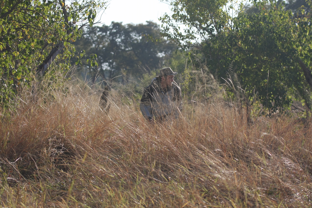 [23087] 2016_06_30_02_27_51_Africa_Canon_EOS_40D_IMG__03818.jpg