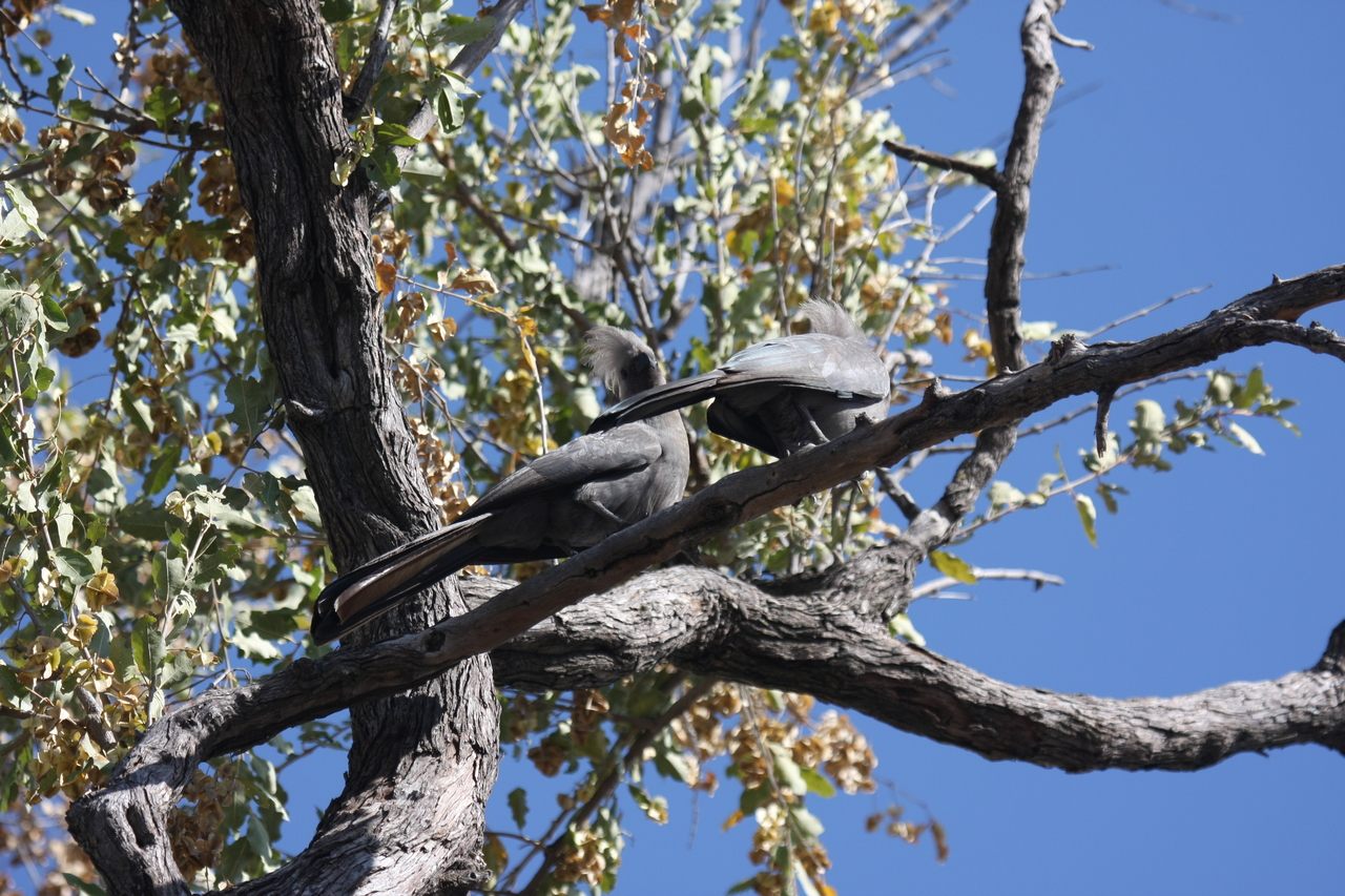 [23511] 2016_06_30_04_19_08_Africa_Canon_EOS_40D_IMG__03946.jpg