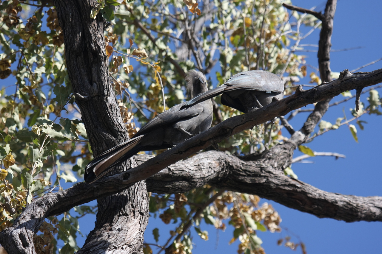 [23521] 2016_06_30_04_19_12_Africa_Canon_EOS_40D_IMG__03952.jpg