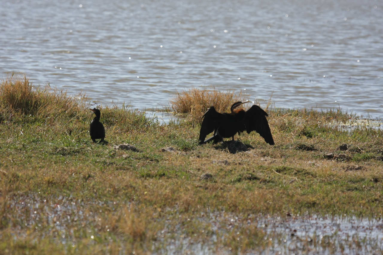[23907] 2016_06_30_05_25_32_Africa_Canon_EOS_40D_IMG__04066.jpg