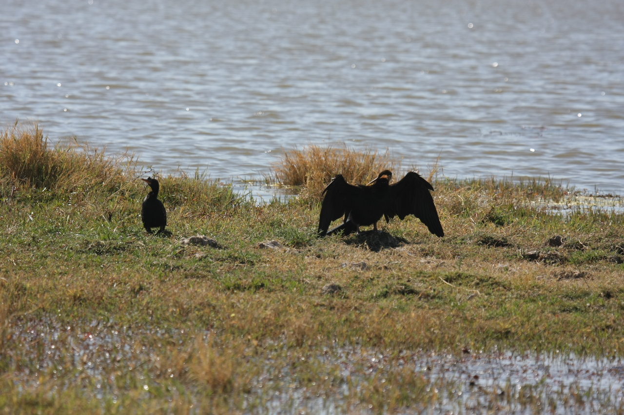 [23910] 2016_06_30_05_25_32_Africa_Canon_EOS_40D_IMG__11514.jpg