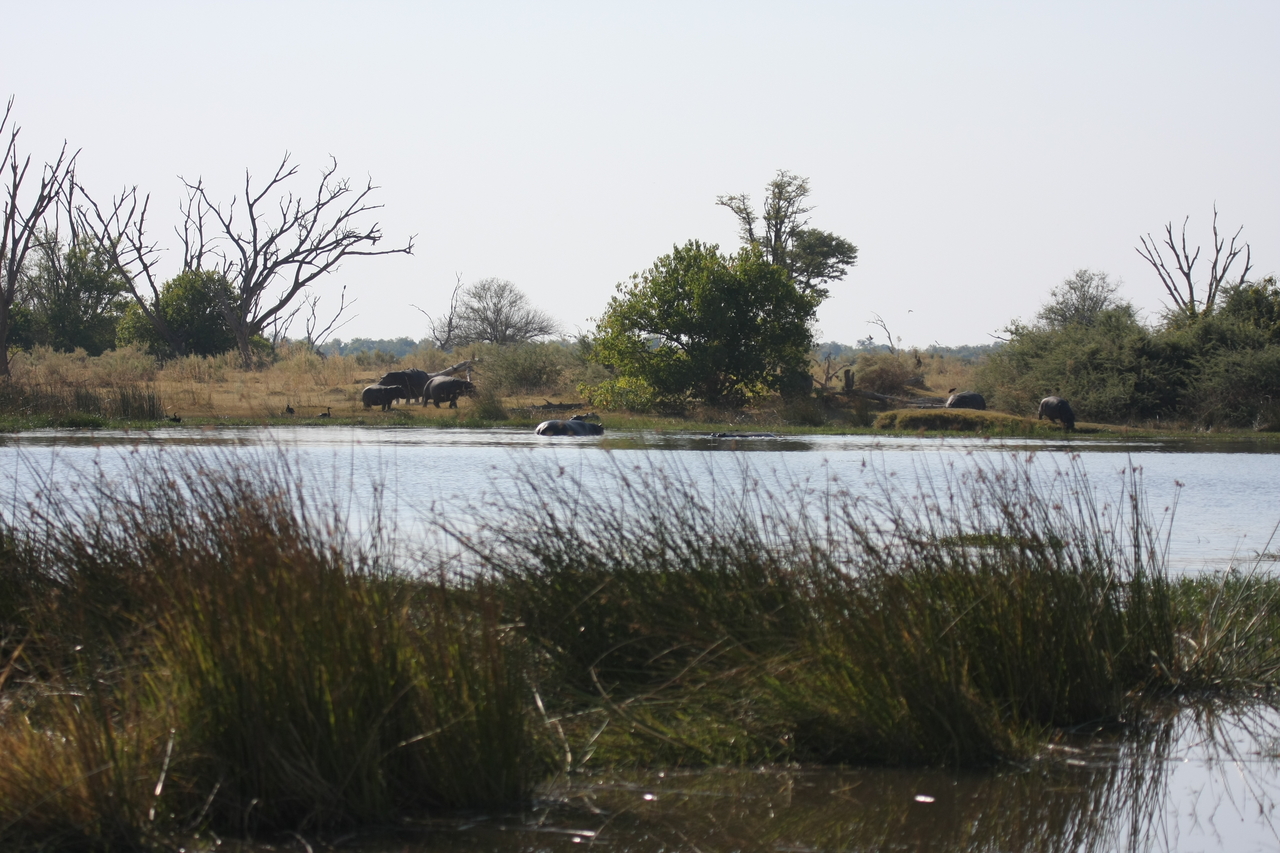 [24729] 2016_06_30_09_05_57_Africa_Canon_EOS_40D_IMG__11782.jpg