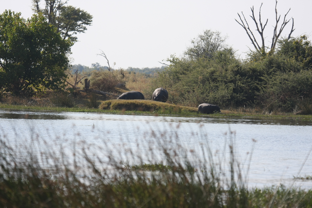 [24750] 2016_06_30_09_06_15_Africa_Canon_EOS_40D_IMG__11790.jpg