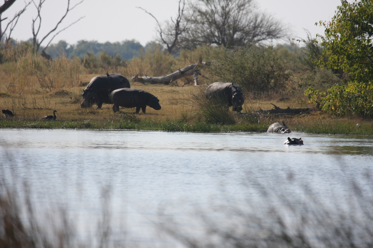 [24764] 2016_06_30_09_06_24_Africa_Canon_EOS_40D_IMG__00623.jpg