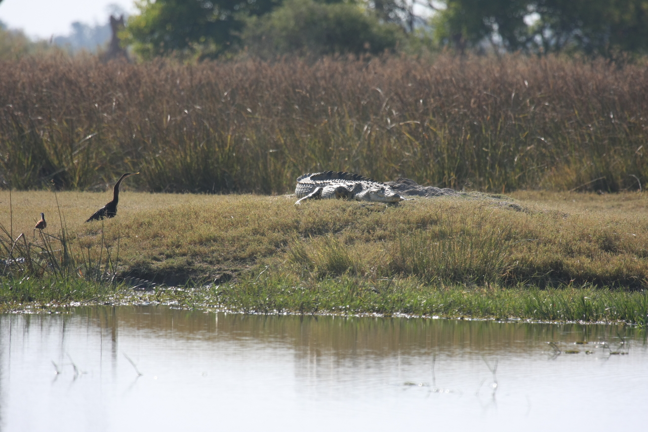 [24774] 2016_06_30_09_09_49_Africa_Canon_EOS_40D_IMG__00628.jpg