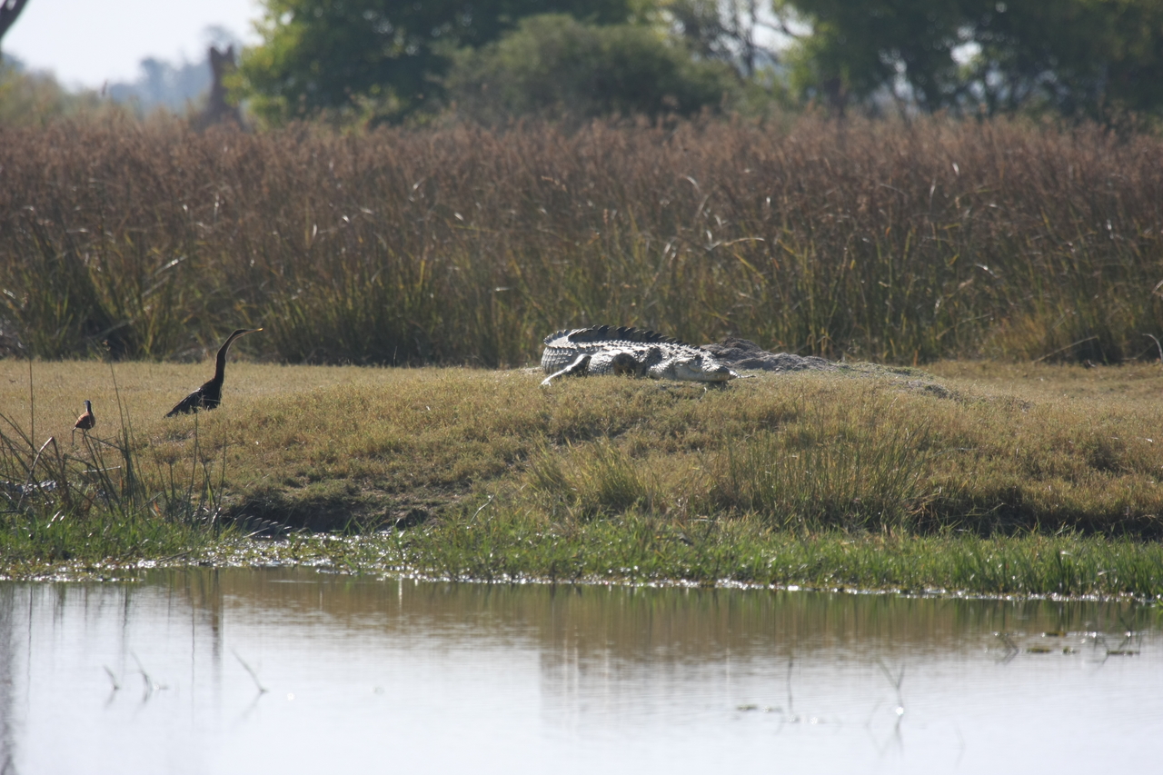 [24777] 2016_06_30_09_09_49_Africa_Canon_EOS_40D_IMG__11800.jpg
