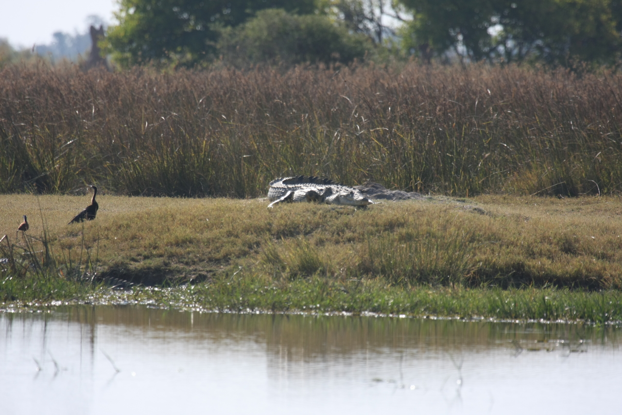 [24780] 2016_06_30_09_09_54_Africa_Canon_EOS_40D_IMG__00630.jpg