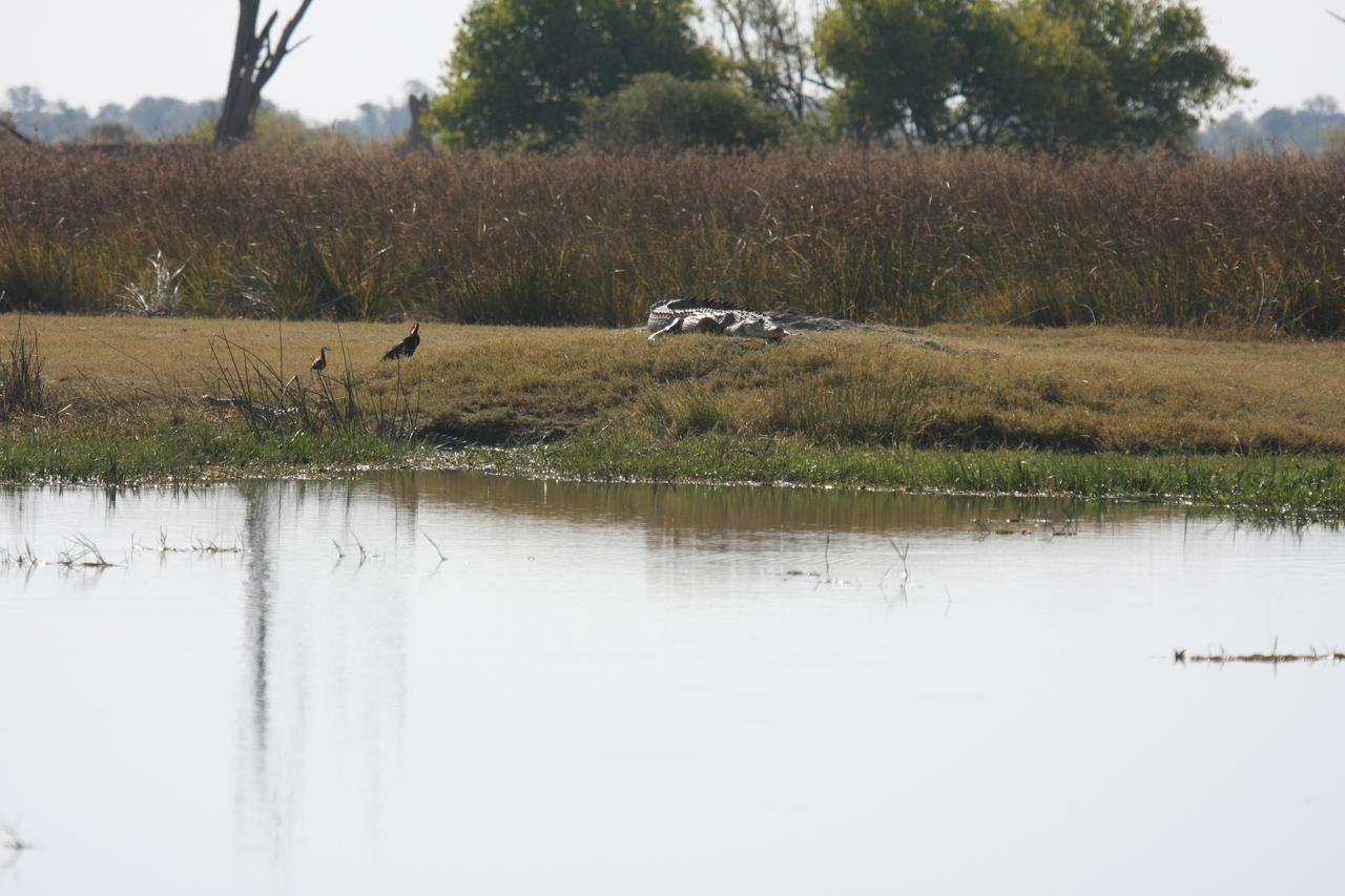 [24785] 2016_06_30_09_10_00_Africa_Canon_EOS_40D_IMG__00631.jpg