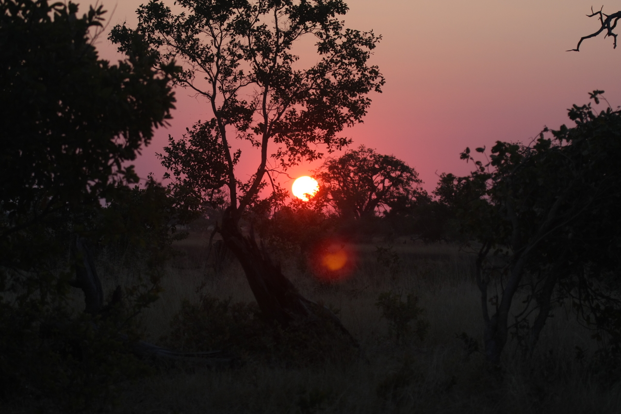 [25205] 2016_06_30_11_53_36_Africa_Canon_EOS_40D_IMG__00775.jpg