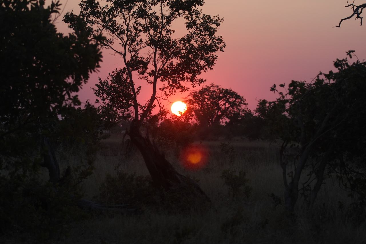 [25206] 2016_06_30_11_53_36_Africa_Canon_EOS_40D_IMG__00776.jpg