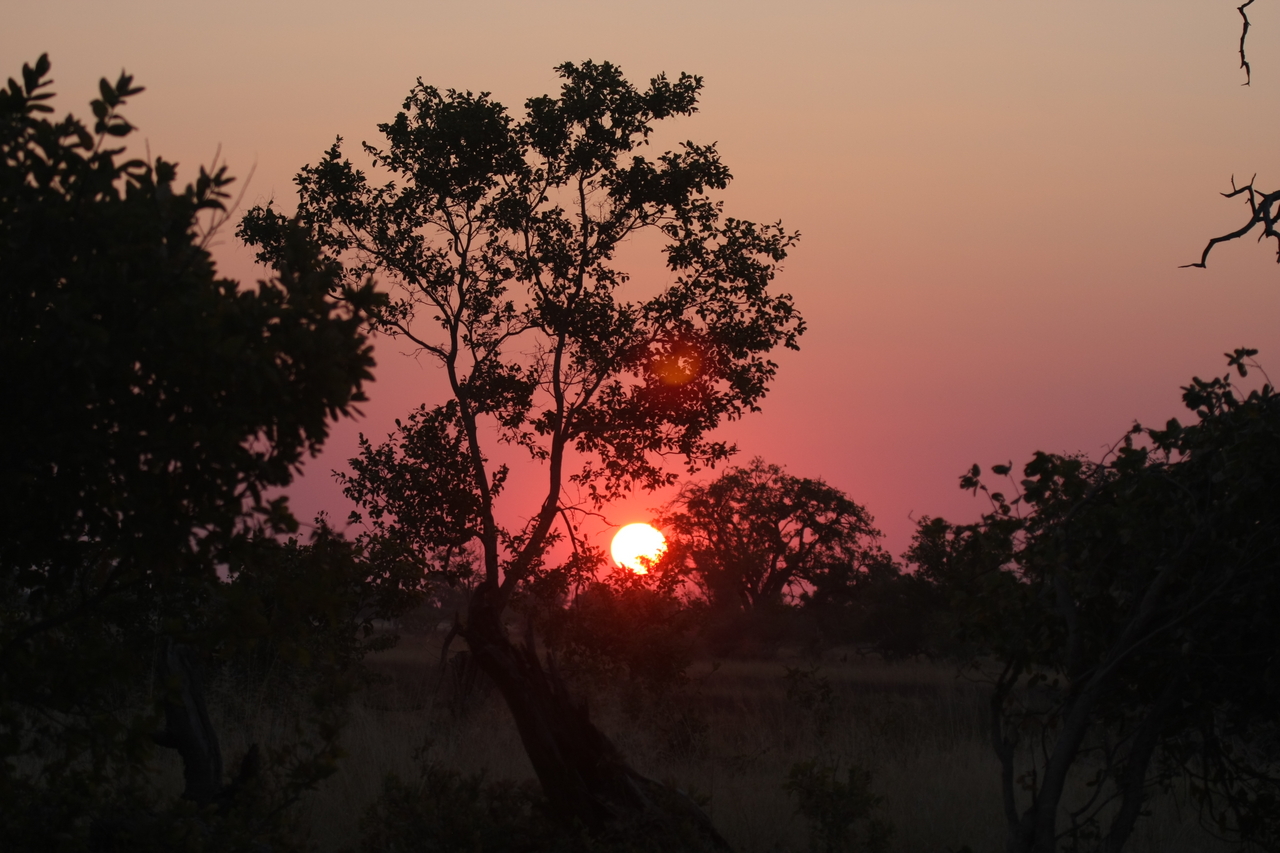 [25219] 2016_06_30_11_53_42_Africa_Canon_EOS_40D_IMG__00783.jpg