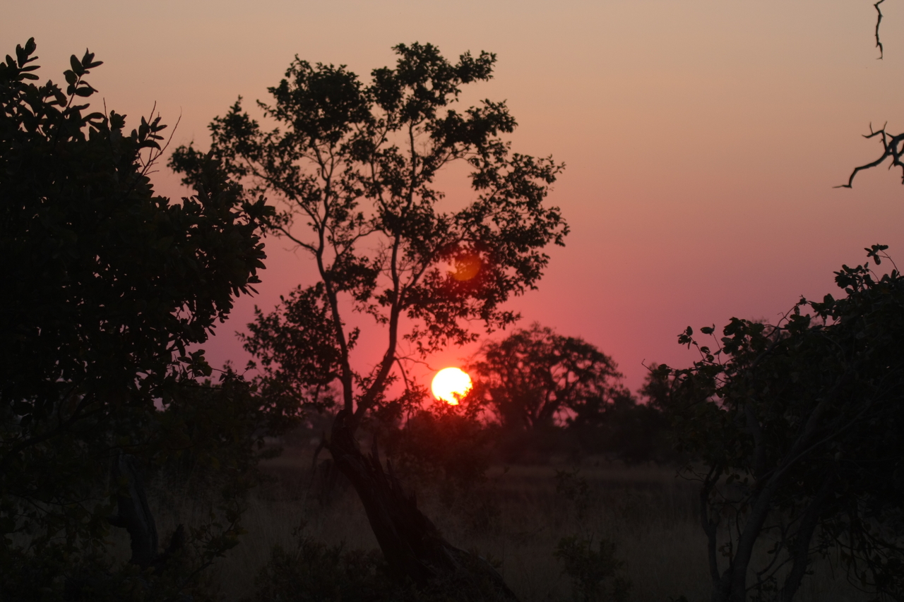 [25221] 2016_06_30_11_53_42_Africa_Canon_EOS_40D_IMG__04508.jpg
